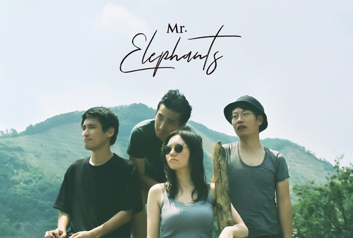 Mr.Elephants