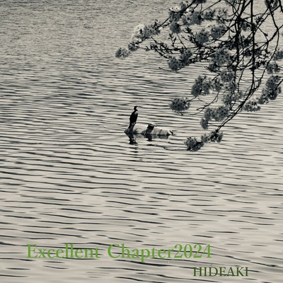 Excellent Chapter2024