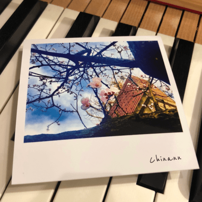 Chinann's Springtime