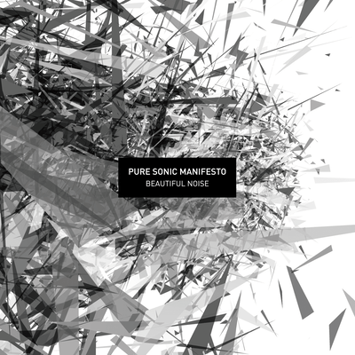 BEAUTIFUL NOISE
