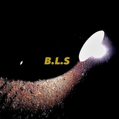 B.L.S