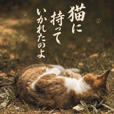 The Cat Took It Away (feat. KAMEZO)