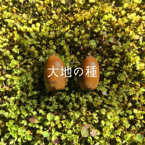 Plants Music. Seeds of Earth