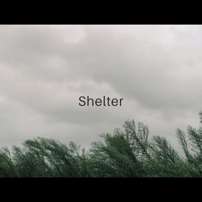 Shelter