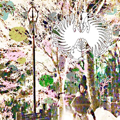 To the roots