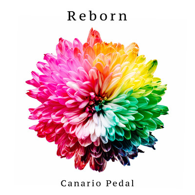 Reborn