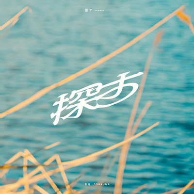 SAGASU