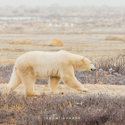 Noah from the future