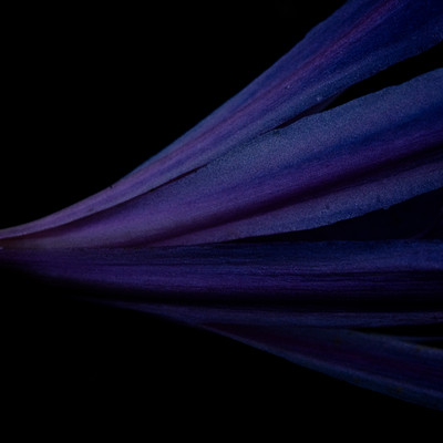 photon / graviton