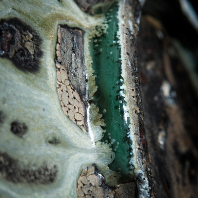 glaze #6