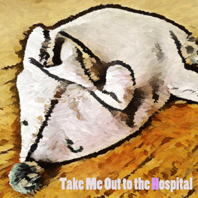 Take Me Out to the Hospital