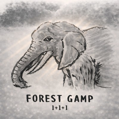 FOREST GAMP