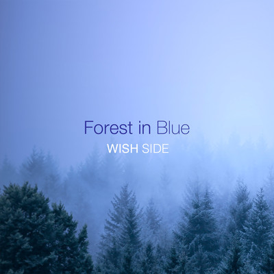 Forest in Blue
