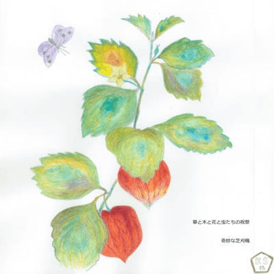 A Festival of Grass, Trees, Flowers, and Insects