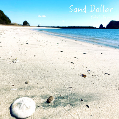 Sand Dollar
