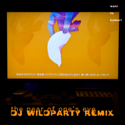 the pear of one's eye (DJ WILDPARTY Remix)
