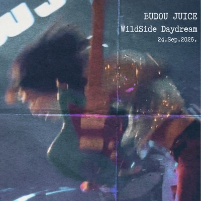 WildSide Daydream (Live Bootleg Series Vol.1)
