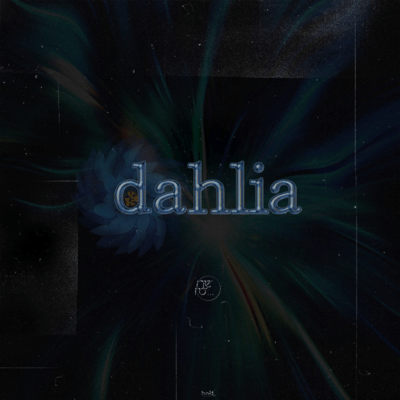 dahlia