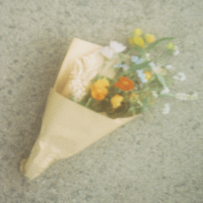 But I still want to survive with you