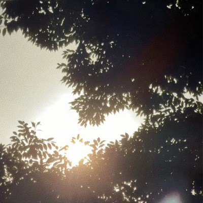 Solace