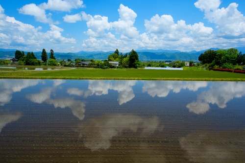 Nature Sounds JAPAN
