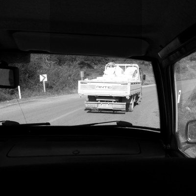 Trucks Run Beneath the Night