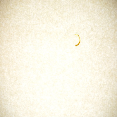 Concert for Starlit Sky