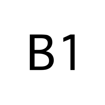 B1
