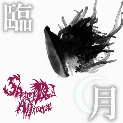 last month of pregnancy