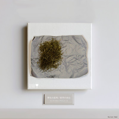 The Savage Mind/Margins of Philosophy