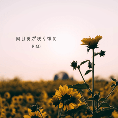 When the Sunflowers Bloom