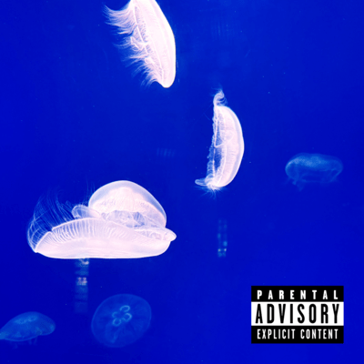 Sweaty Hands (feat. liio)