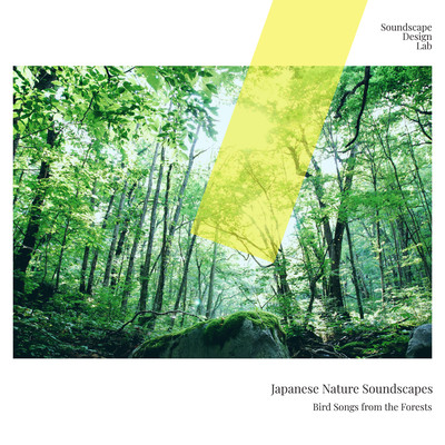 Japanese Nature Soundscapes Bird Songs from the Forests
