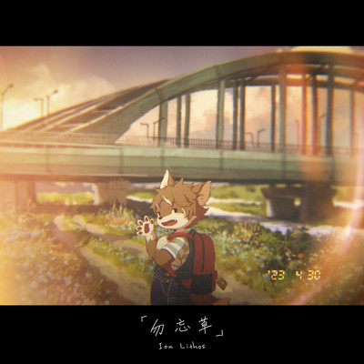 forget me not
