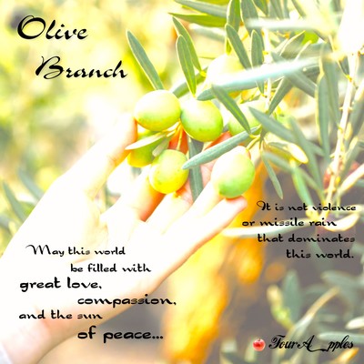 Olive Branch