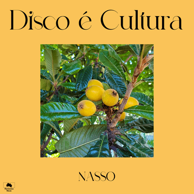 Disco é Cultura