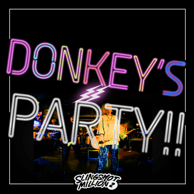 DONKEY'S PARTY