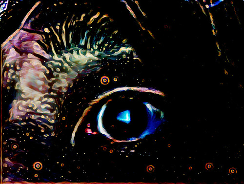 Red Eye