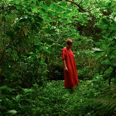 Wonderful Forest