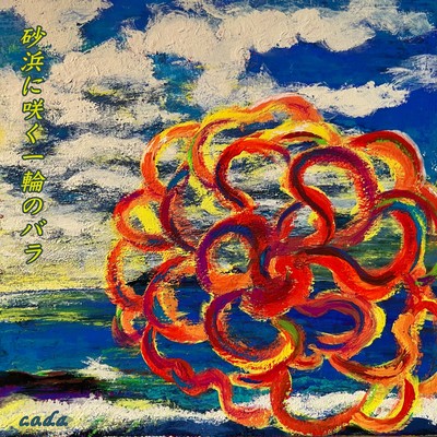 A single rose blooming on a sandy beach