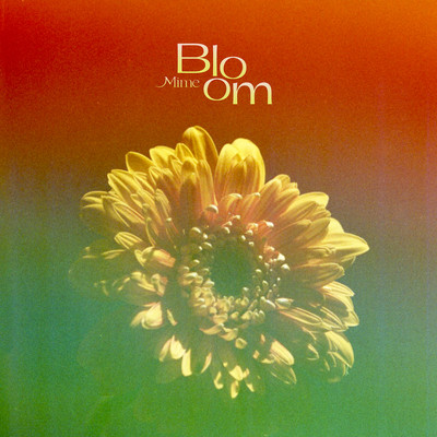Bloom