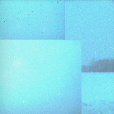 Snowdrop