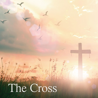 The Cross