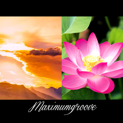 Maximumgroove