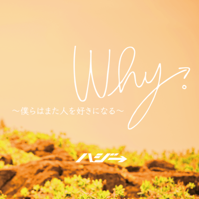 Why -We'll fall in love again-