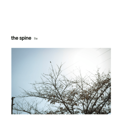 the spine
