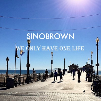 WE ONLY HAVE ONE LIFE