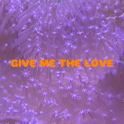 Give me the love