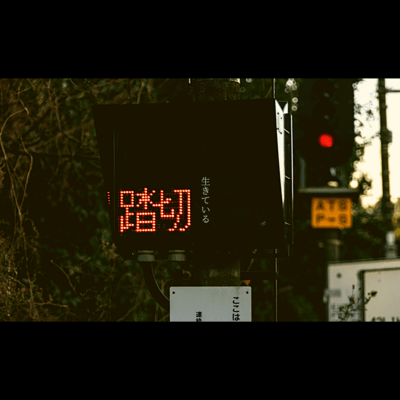 ikiteiru