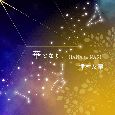 HANA to NARI